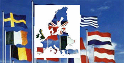 file/ELEMENTO_NEWSLETTER/10428/Europa_su_bandiere.gif