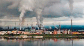 file/ELEMENTO_NEWSLETTER/10515/ilva.gif