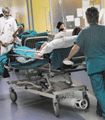 file/ELEMENTO_NEWSLETTER/10641/sanitaria_azienda.gif