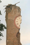 file/ELEMENTO_NEWSLETTER/10650/terremoto-emilia-romagna.gif