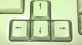 file/ELEMENTO_NEWSLETTER/10691/frecce_tastiera_PC.gif
