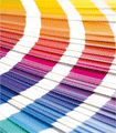 file/ELEMENTO_NEWSLETTER/10935/strisce_curve_colore.gif