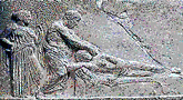 file/ELEMENTO_NEWSLETTER/11185/SANITANC7.gif