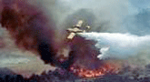 file/ELEMENTO_NEWSLETTER/11333/incendicanadair.gif