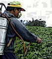 file/ELEMENTO_NEWSLETTER/12150/fitofarmaci.jpg