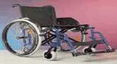 file/ELEMENTO_NEWSLETTER/12204/socialecarrozzella.gif