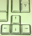 file/ELEMENTO_NEWSLETTER/12230/frecce_tastiera_PC.gif
