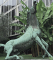file/ELEMENTO_NEWSLETTER/12526/Rai_Cavallo.gif
