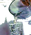 file/ELEMENTO_NEWSLETTER/12720/acqua.gif