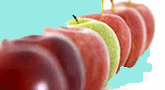 file/ELEMENTO_NEWSLETTER/13128/malattie_Rare.gif