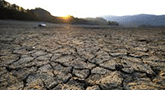 file/ELEMENTO_NEWSLETTER/13137/siccita_031014.gif