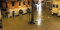 file/ELEMENTO_NEWSLETTER/13197/MALTEMPO0PS3.gif