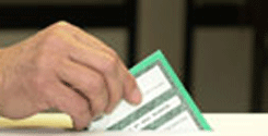 file/ELEMENTO_NEWSLETTER/13225/voto_elezioni.gif