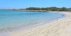 file/ELEMENTO_NEWSLETTER/13466/mare_spiaggia.gif