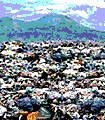 file/ELEMENTO_NEWSLETTER/13612/rifiutinapoli.gif