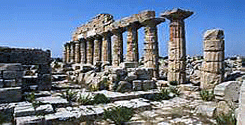 file/ELEMENTO_NEWSLETTER/13666/BENICULTURA3FEU.gif