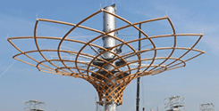 file/ELEMENTO_NEWSLETTER/13674/Expoalbero-della-vita.gif