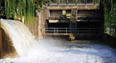 file/ELEMENTO_NEWSLETTER/13715/agricoltura_opere_irrigue.gif