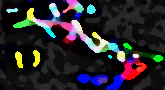 file/ELEMENTO_NEWSLETTER/13739/ITALIAasi0J6.gif
