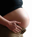 file/ELEMENTO_NEWSLETTER/13863/gravidanza.gif