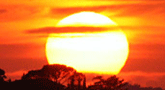 file/ELEMENTO_NEWSLETTER/14054/sole_tramonto.gif