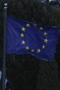 file/ELEMENTO_NEWSLETTER/14182/bandiera_Europa.gif