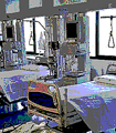 file/ELEMENTO_NEWSLETTER/14325/sanitaPOSTILETTO.gif