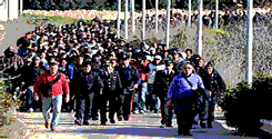 file/ELEMENTO_NEWSLETTER/14343/IMMIGRAZIONEMYE2V8.gif
