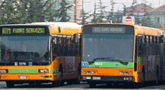 file/ELEMENTO_NEWSLETTER/14362/autobus_trasportopublocale.gif