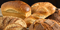 file/ELEMENTO_NEWSLETTER/14363/PANE_250915.gif