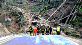 file/ELEMENTO_NEWSLETTER/14536/DISSESTOLHA.gif