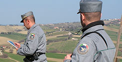 file/ELEMENTO_NEWSLETTER/14999/Forestali.jpg