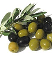 file/ELEMENTO_NEWSLETTER/15060/olive__nov_14.gif