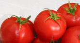 file/ELEMENTO_NEWSLETTER/15158/AGRICOLTURA_pomodori.gif