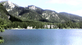 file/ELEMENTO_NEWSLETTER/15516/ambiente_lago_Dolomiti.gif