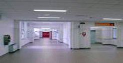 file/ELEMENTO_NEWSLETTER/15540/sanitaospedale.gif