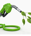 file/ELEMENTO_NEWSLETTER/15898/EcoCarburanti_green_mobility_11116.jpg