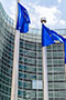 file/ELEMENTO_NEWSLETTER/16224/Commissione_europea_sede_130217.jpg