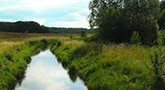 file/ELEMENTO_NEWSLETTER/16775/Agricoltura_acque_reflue.gif