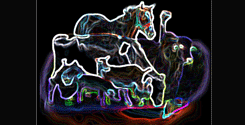 file/ELEMENTO_NEWSLETTER/16800/Zootecnia.gif