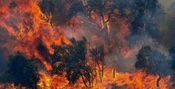 file/ELEMENTO_NEWSLETTER/16937/incendi._040717jpg.jpg