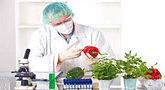 file/ELEMENTO_NEWSLETTER/17070/ALIMENTARIcontrolli3.gif