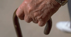 file/ELEMENTO_NEWSLETTER/17229/ANZIANI.gif