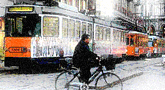 file/ELEMENTO_NEWSLETTER/17453/trasportloc.gif
