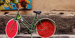 file/ELEMENTO_NEWSLETTER/17719/bici_foto_cristina-gottardi-105347.jpg