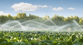 file/ELEMENTO_NEWSLETTER/17809/Campi_irrigati.jpeg