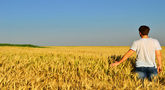 file/ELEMENTO_NEWSLETTER/17907/giovane_agricoltore_campo.jpg