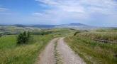 file/ELEMENTO_NEWSLETTER/18261/tratturi.jpg