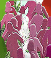 file/ELEMENTO_NEWSLETTER/18990/donneitalia.gif