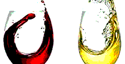 file/ELEMENTO_NEWSLETTER/19605/VINOVFQS.gif